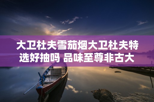 大卫杜夫雪茄烟大卫杜夫特选好抽吗 品味至尊非古大卫杜夫特选