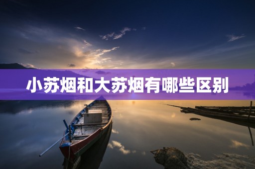 小苏烟和大苏烟有哪些区别