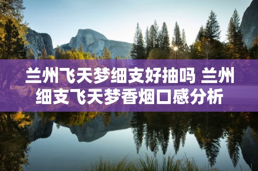 兰州飞天梦细支好抽吗 兰州细支飞天梦香烟口感分析
