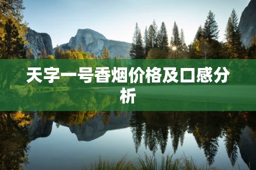 天字一号香烟价格及口感分析