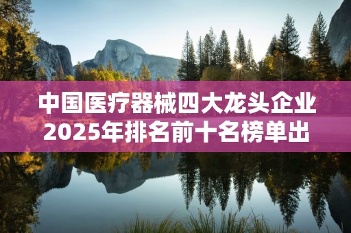中国医疗器械四大龙头企业2025年排名前十名榜单出炉