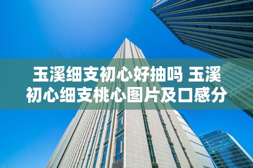 玉溪细支初心好抽吗 玉溪初心细支桃心图片及口感分析