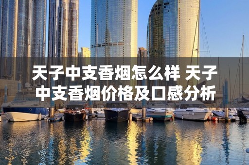 天子中支香烟怎么样 天子中支香烟价格及口感分析