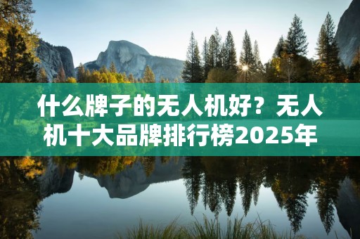 什么牌子的无人机好？无人机十大品牌排行榜2025年排名前十名榜单出炉