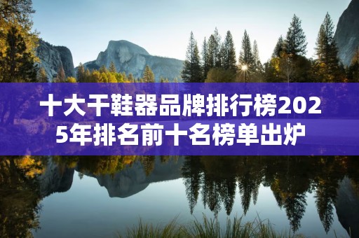 十大干鞋器品牌排行榜2025年排名前十名榜单出炉