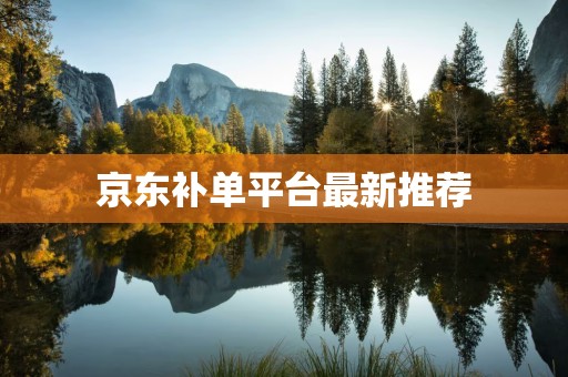 京东补单平台最新推荐