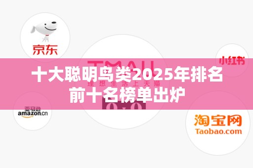 十大聪明鸟类2025年排名前十名榜单出炉