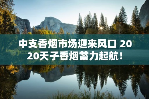 中支香烟市场迎来风口 2020天子香烟蓄力起航！