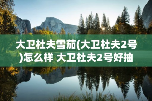 大卫杜夫雪茄(大卫杜夫2号)怎么样 大卫杜夫2号好抽吗