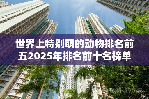 世界上特别萌的动物排名前五2025年排名前十名榜单出炉