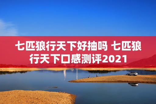七匹狼行天下好抽吗 七匹狼行天下口感测评2021