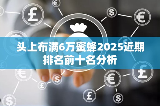 头上布满6万蜜蜂2025近期排名前十名分析