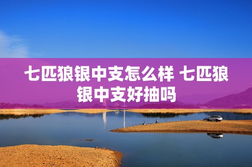 七匹狼银中支怎么样 七匹狼银中支好抽吗