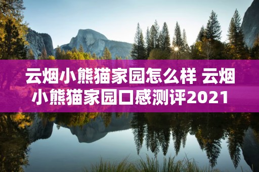 云烟小熊猫家园怎么样 云烟小熊猫家园口感测评2021