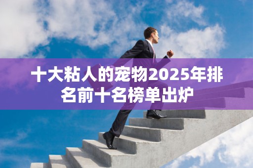 十大粘人的宠物2025年排名前十名榜单出炉