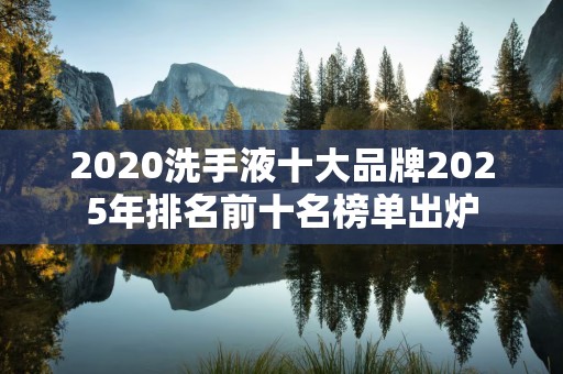 2020洗手液十大品牌2025年排名前十名榜单出炉