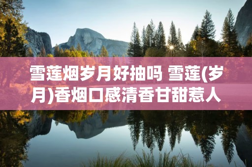雪莲烟岁月好抽吗 雪莲(岁月)香烟口感清香甘甜惹人醉