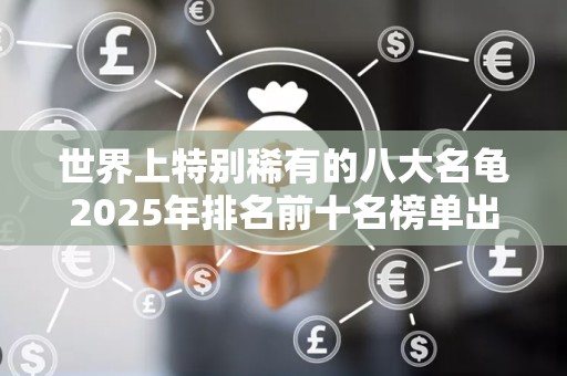 世界上特别稀有的八大名龟2025年排名前十名榜单出炉