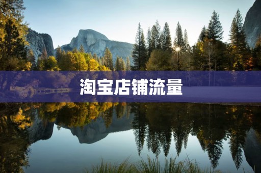 淘宝店铺流量