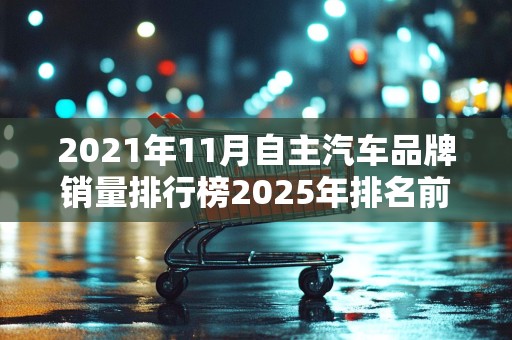 2021年11月自主汽车品牌销量排行榜2025年排名前十名榜单出炉