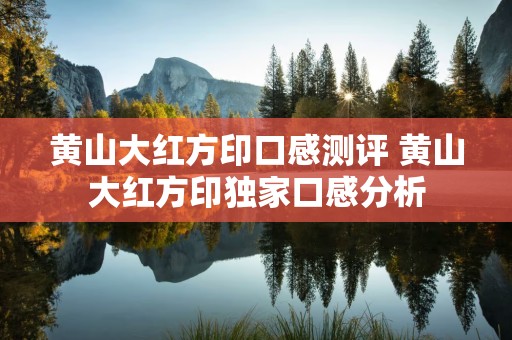 黄山大红方印口感测评 黄山大红方印独家口感分析