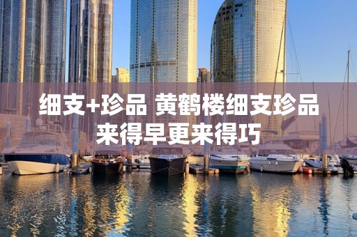 细支+珍品 黄鹤楼细支珍品来得早更来得巧