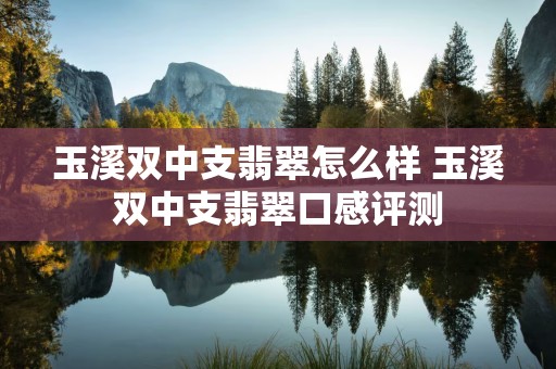 玉溪双中支翡翠怎么样 玉溪双中支翡翠口感评测