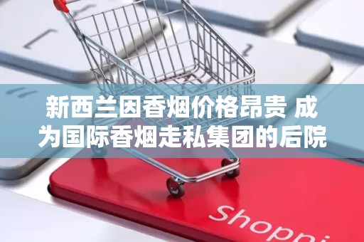 新西兰因香烟价格昂贵 成为国际香烟走私集团的后院