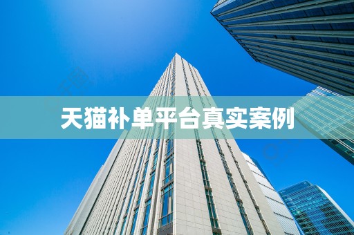 天猫补单平台真实案例