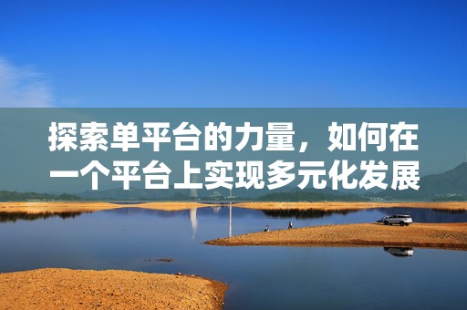 探索单平台的力量，如何在一个平台上实现多元化发展