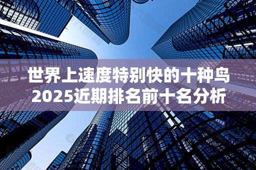 世界上速度特别快的十种鸟2025近期排名前十名分析