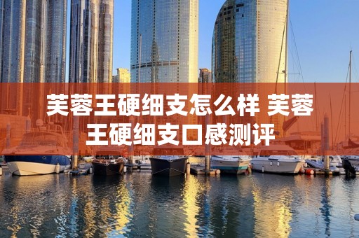 芙蓉王硬细支怎么样 芙蓉王硬细支口感测评