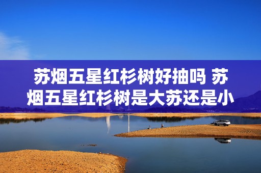 苏烟五星红杉树好抽吗 苏烟五星红杉树是大苏还是小苏