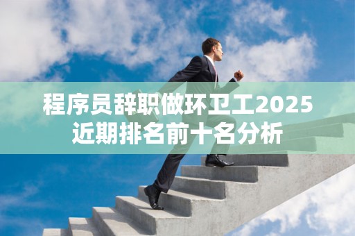 程序员辞职做环卫工2025近期排名前十名分析