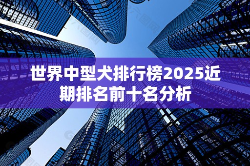 世界中型犬排行榜2025近期排名前十名分析