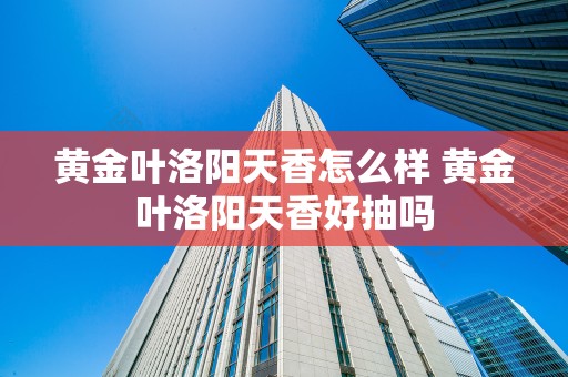 黄金叶洛阳天香怎么样 黄金叶洛阳天香好抽吗