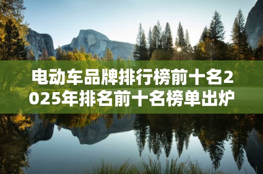 电动车品牌排行榜前十名2025年排名前十名榜单出炉