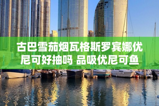 古巴雪茄烟瓦格斯罗宾娜优尼可好抽吗 品吸优尼可鱼雷茄