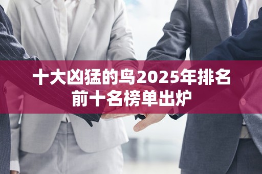 十大凶猛的鸟2025年排名前十名榜单出炉