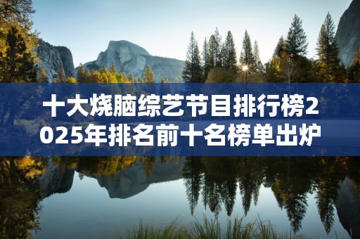 十大烧脑综艺节目排行榜2025年排名前十名榜单出炉