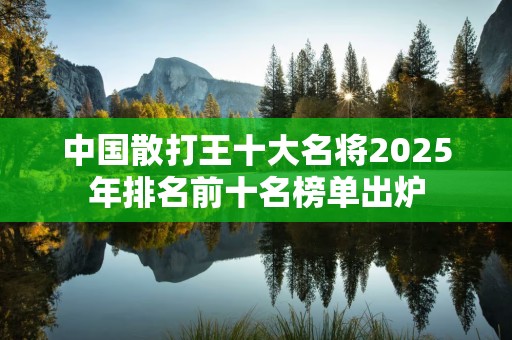 中国散打王十大名将2025年排名前十名榜单出炉