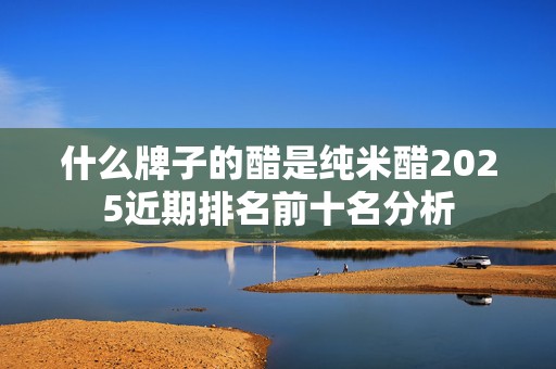 什么牌子的醋是纯米醋2025近期排名前十名分析