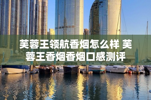芙蓉王领航香烟怎么样 芙蓉王香烟香烟口感测评