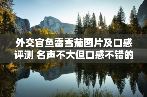 外交官鱼雷雪茄图片及口感评测 名声不大但口感不错的雪茄！