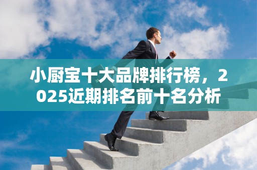 小厨宝十大品牌排行榜，2025近期排名前十名分析
