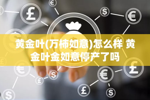 黄金叶(万柿如意)怎么样 黄金叶金如意停产了吗