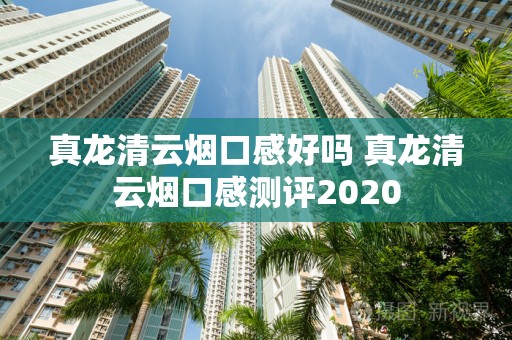 真龙清云烟口感好吗 真龙清云烟口感测评2020