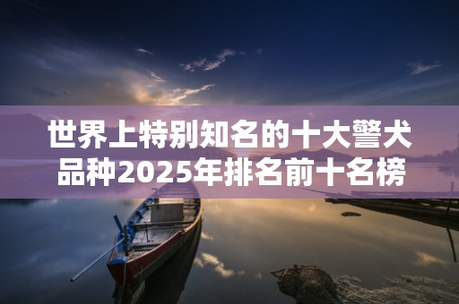 世界上特别知名的十大警犬品种2025年排名前十名榜单出炉