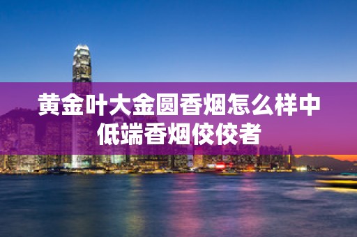黄金叶大金圆香烟怎么样中低端香烟佼佼者