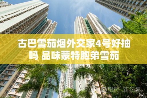 古巴雪茄烟外交家4号好抽吗 品味蒙特胞弟雪茄